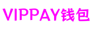 VipPay钱包 | 充值无痕 安全无忧